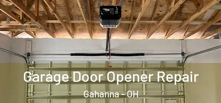  Garage Door Opener Repair Gahanna - OH