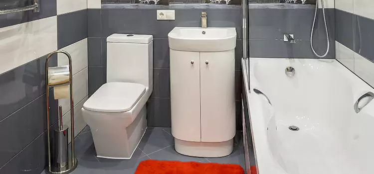 Hansgrohe Shaving Mirror Gahanna