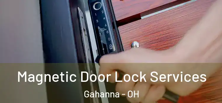 Magnetic Door Lock Services Gahanna - OH
