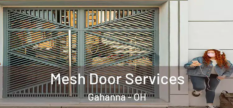  Mesh Door Services Gahanna - OH